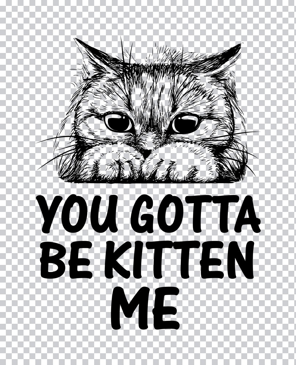 You Gotta Be Kitten Me DTF Transfer