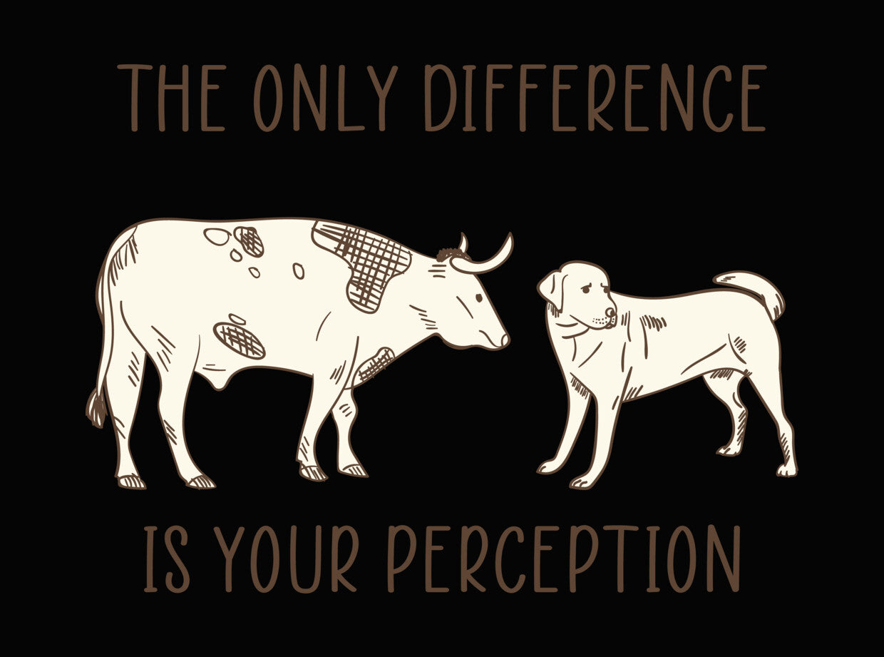The Only Difference Is Your Perception DTF Transfer