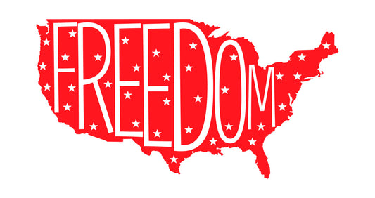 Freedom USA Map DTF Transfer