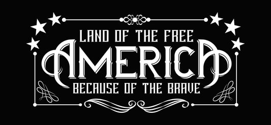 Bald Eagle Patriotic Graphic DTF Transfer