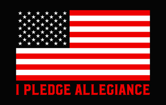 I Pledge Allegiance Flag DTF Transfer