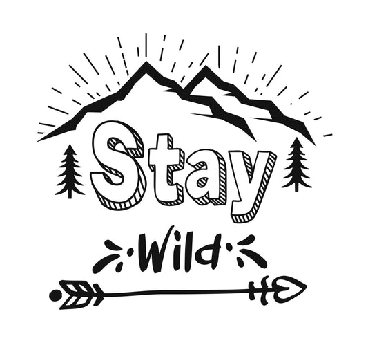 Stay Wild Mountain Adventure DTF Transfer