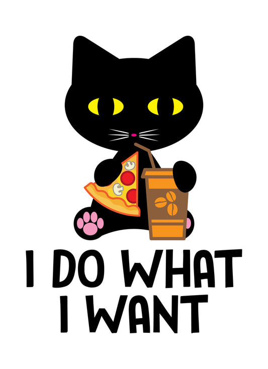 I Do What I Want Black Cat DTF Transfer