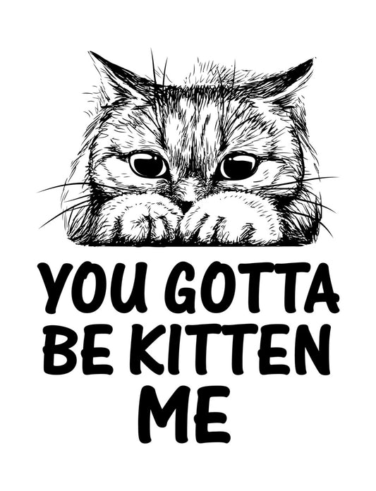 You Gotta Be Kitten Me DTF Transfer