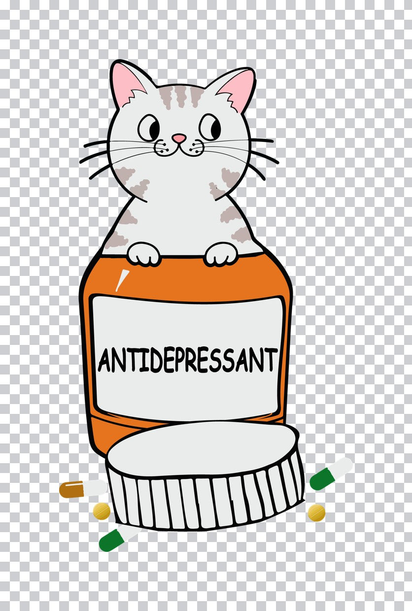Cat Antidepressant DTF Transfer