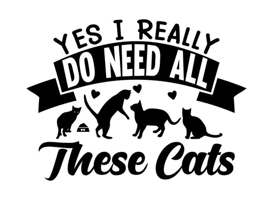 Cat Wisdom Funny Life Lessons DTF Transfer