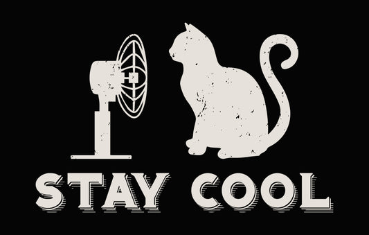 Stay Cool Cat with Fan DTF Transfer