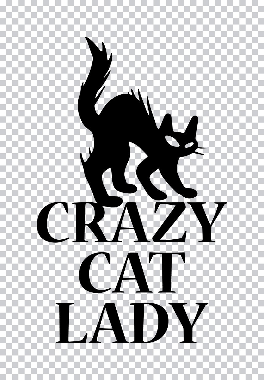 Crazy Cat Lady Silhouette DTF Transfer