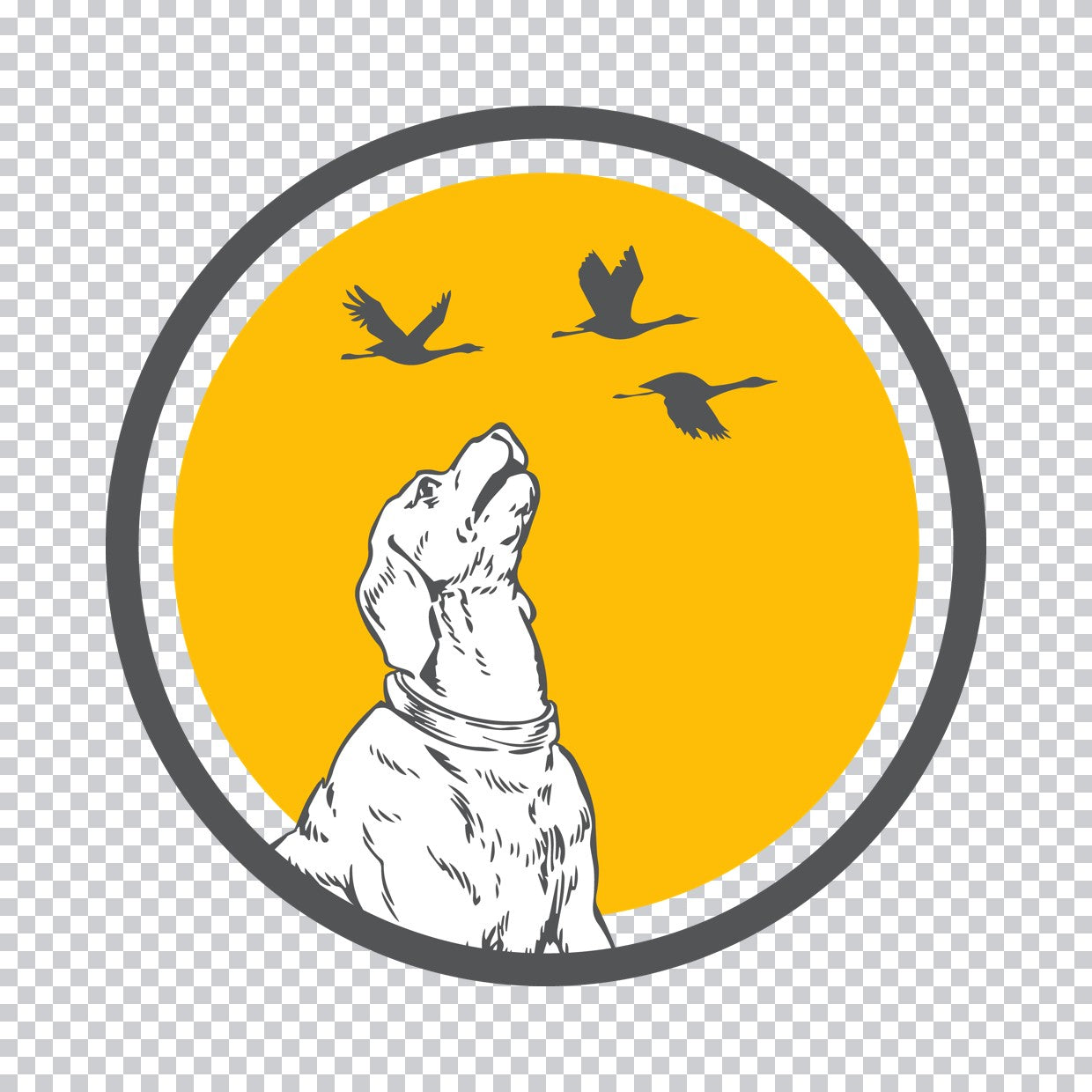 Hunting Dog and Flying Ducks DTF Transfer