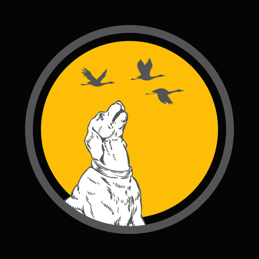 Hunting Dog and Flying Ducks DTF Transfer