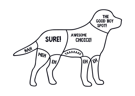 Dog Petting Guide Funny DTF Transfer