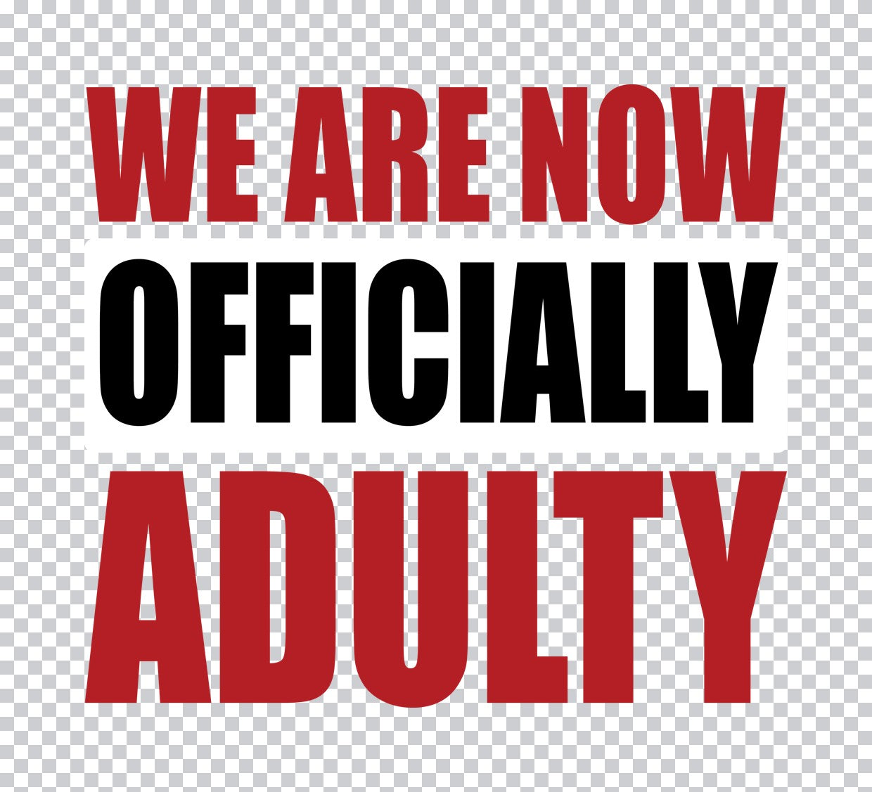 We Are Now Officially Adult DTF Transfer
