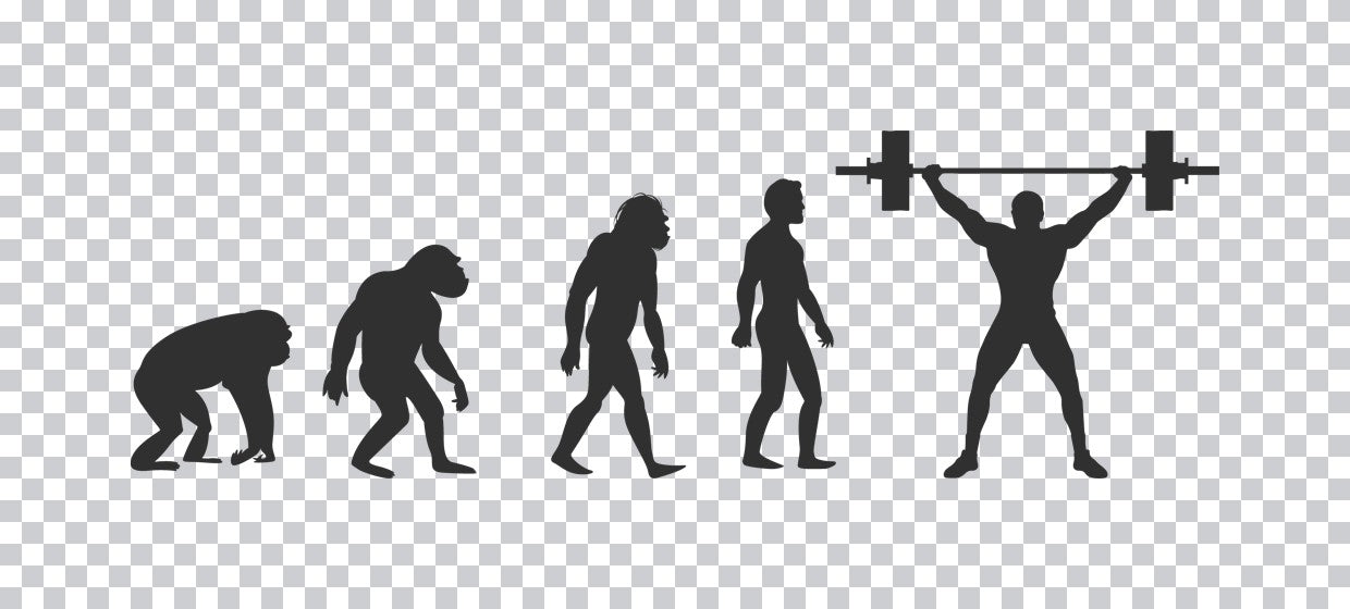 Evolution of Man Weightlifter DTF Transfer