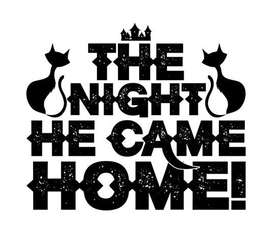The Night He Came Home DTF Transfer