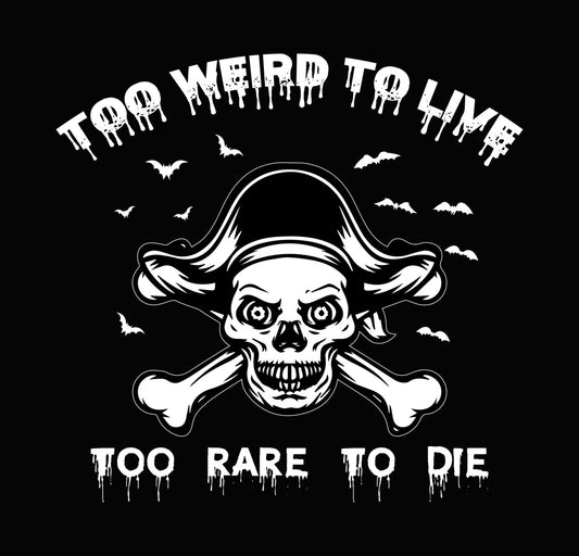 Pirate Skull and Crossbones DTF Transfer