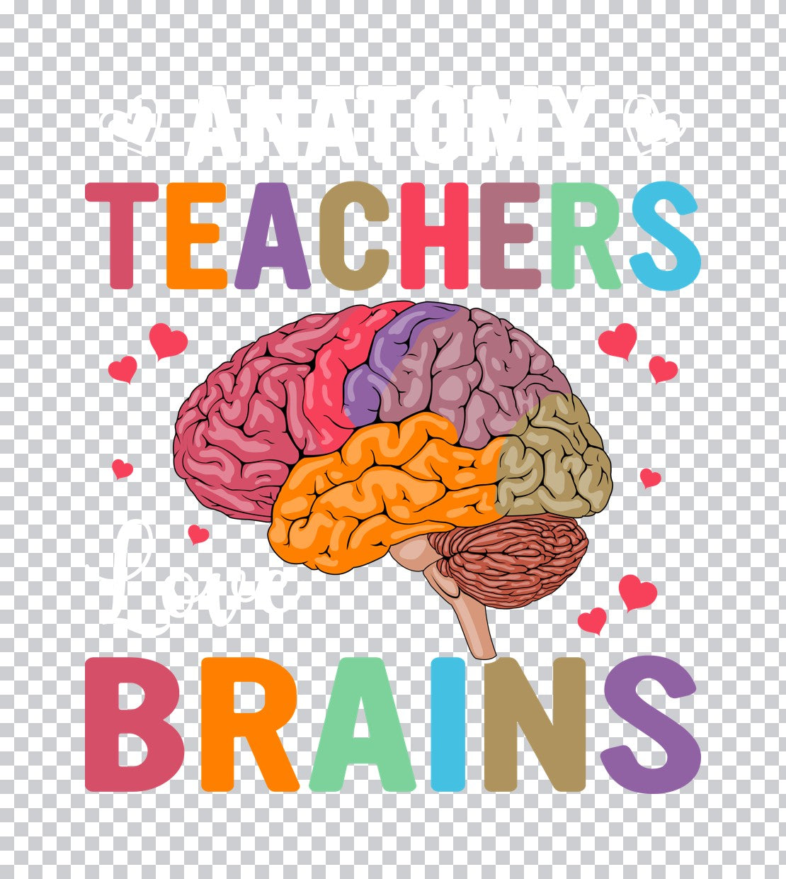 Teachers Brains Colorful Anatomy DTF Transfer