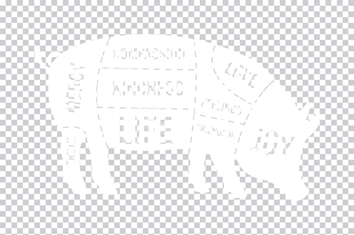Vegan Plant Power Graphic DTF Transfer