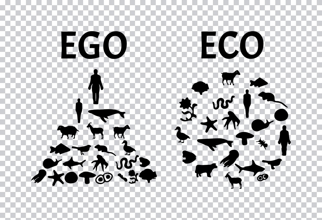 Ego Vs Eco Animal Pyramid DTF Transfer