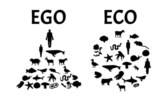 Ego Vs Eco Animal Pyramid DTF Transfer