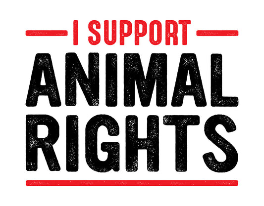 I Support Animal Rights Bold DTF Transfer