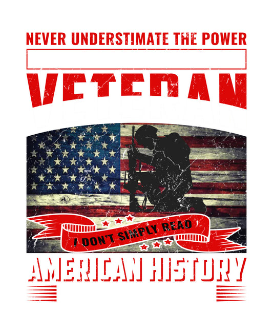 Veteran American History Power DTF Transfer