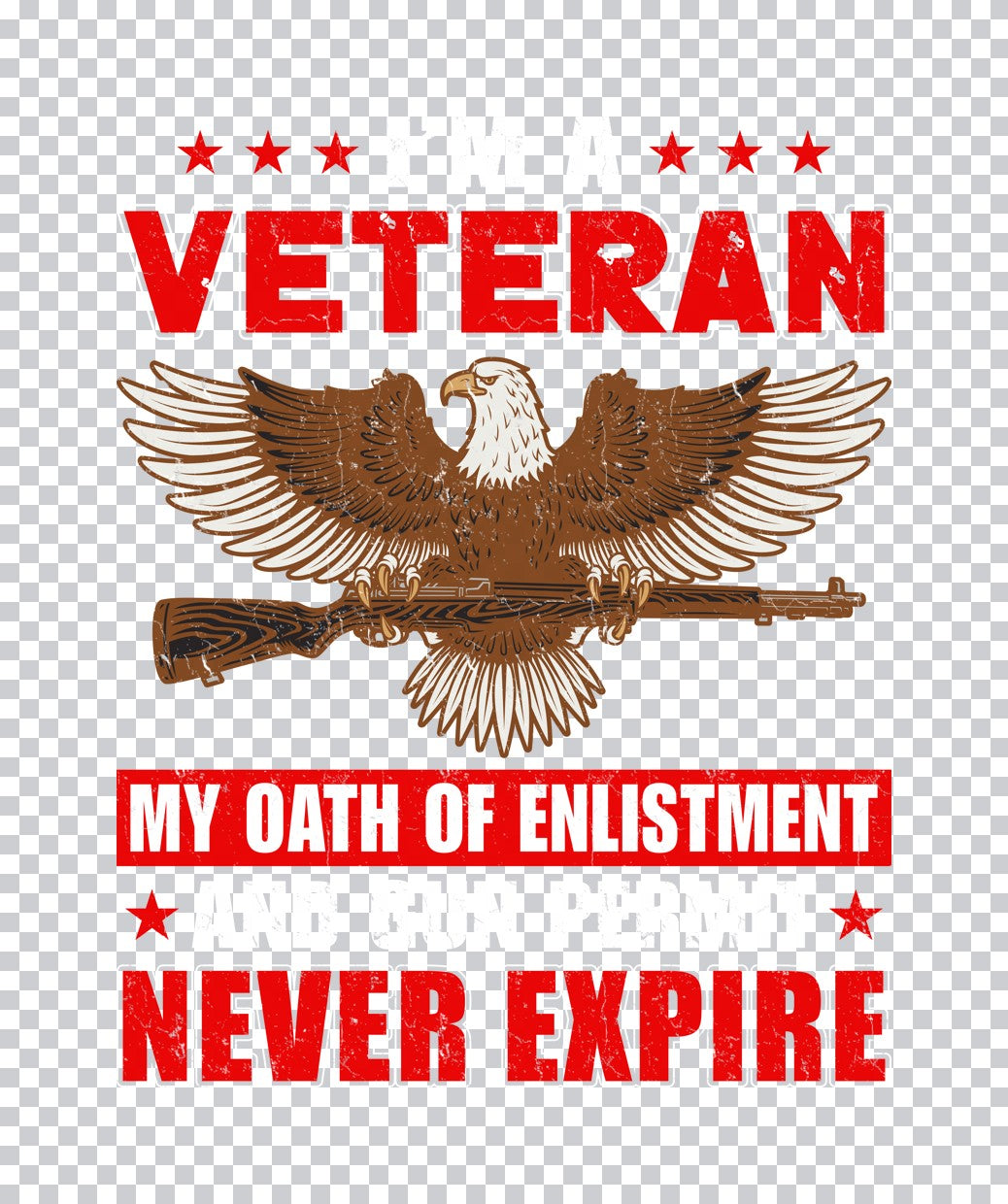 Veteran Oath of Enlistment DTF Transfer